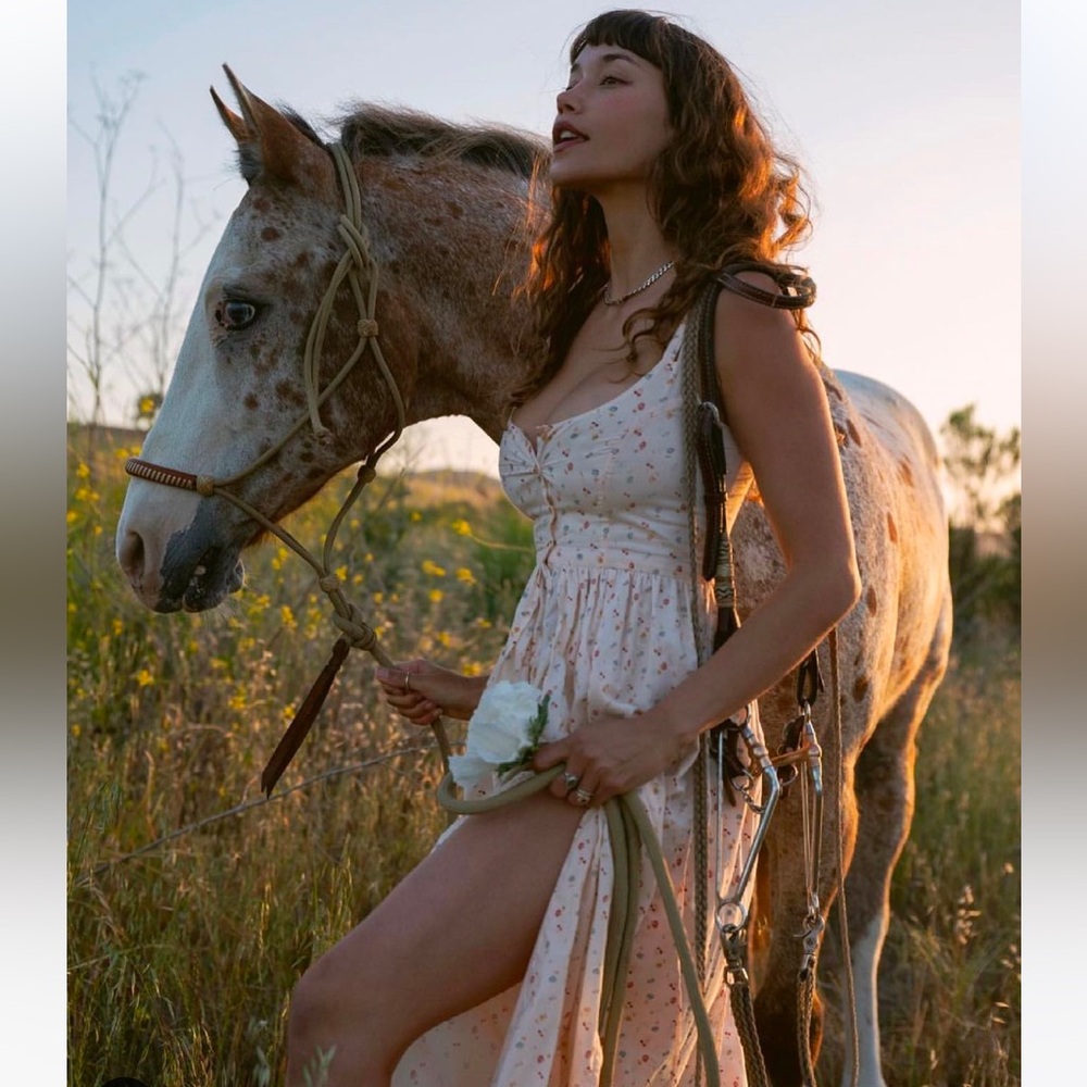 Christy Dawn Nicks Dress